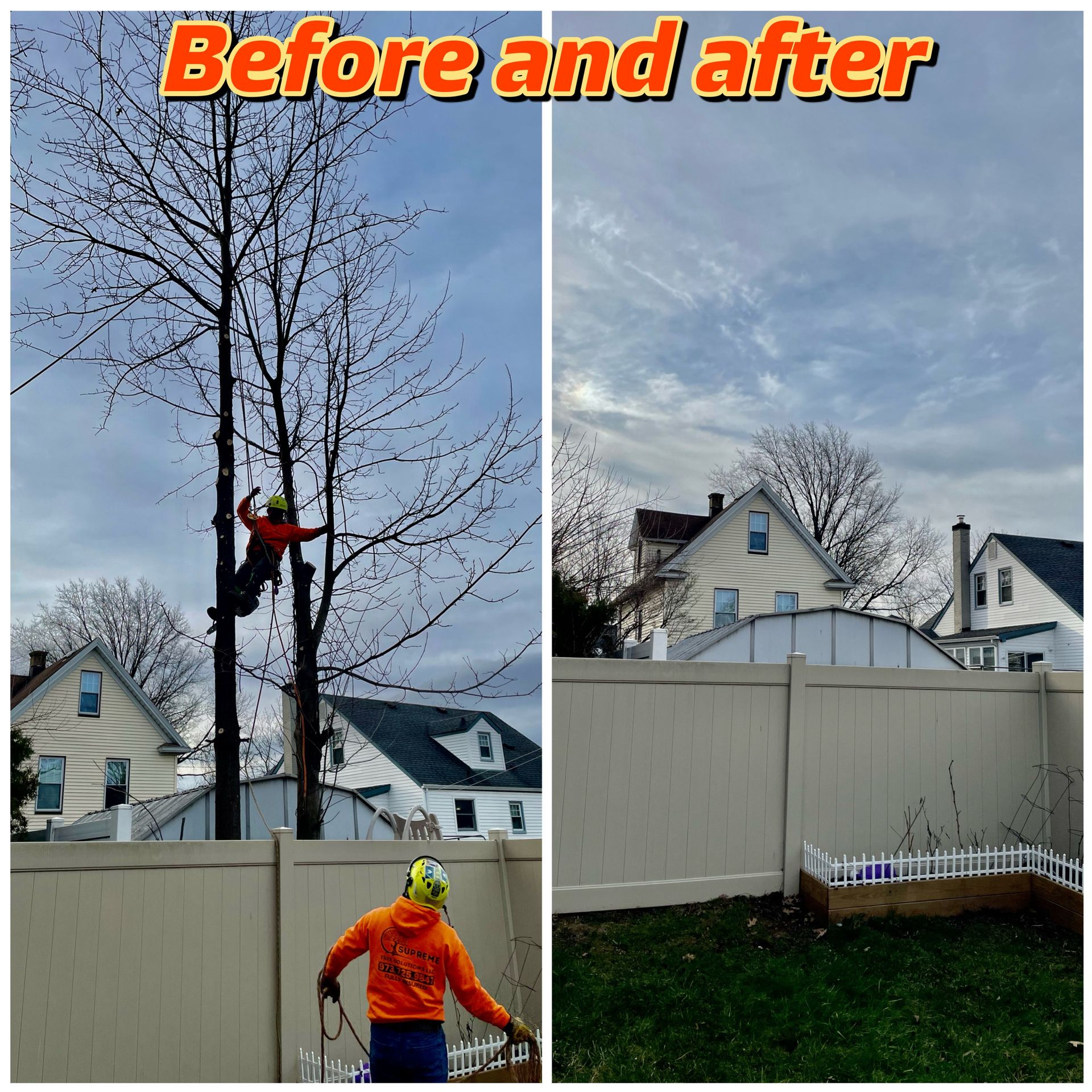 Home Backyard Tree Removal — Elizabeth, NJ – Supreme Tree Solutions