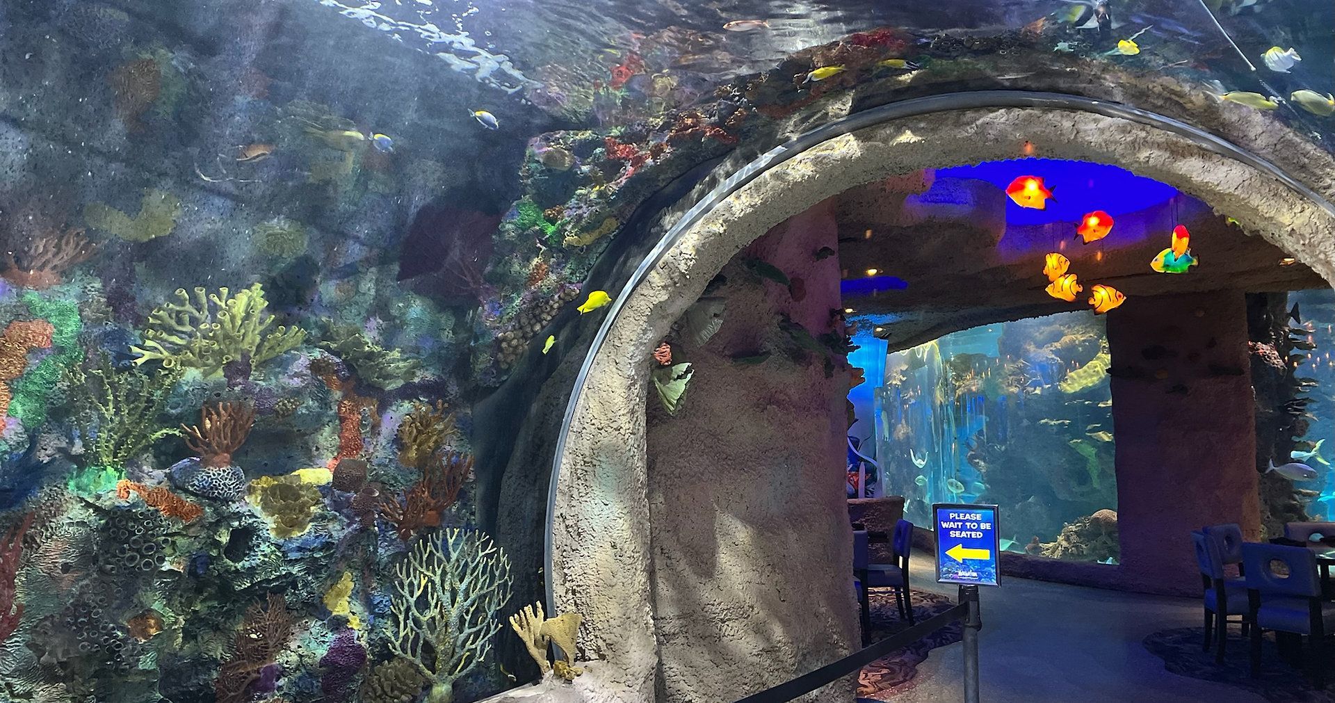 Aquarium walk through tunnel with fish