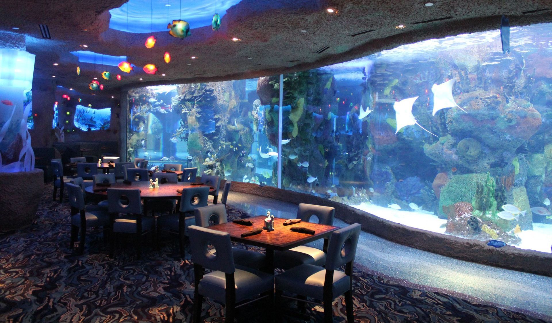 restaurant tables with aquarium tank in the background
