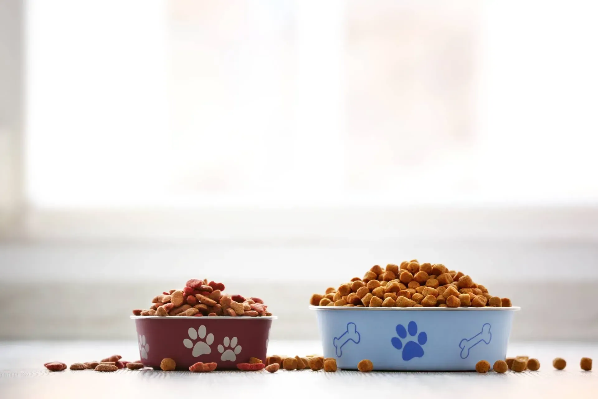 Two bowls of dog food are sitting on a table.