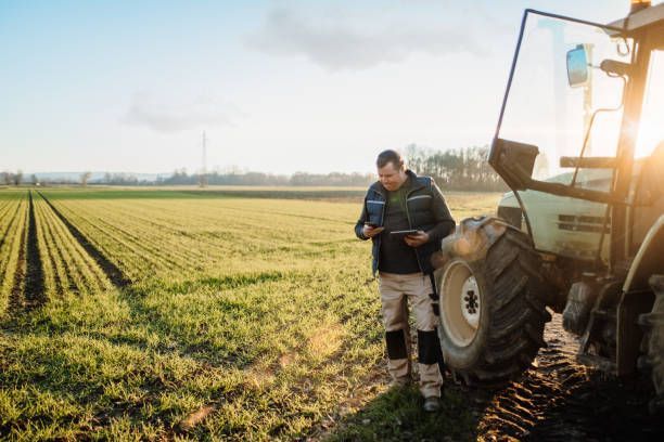 Multitasking man using a mobile phone and digital tablet on a field