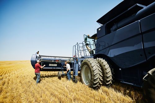 Wide shot of two generations of family farmers working on a wheat field
