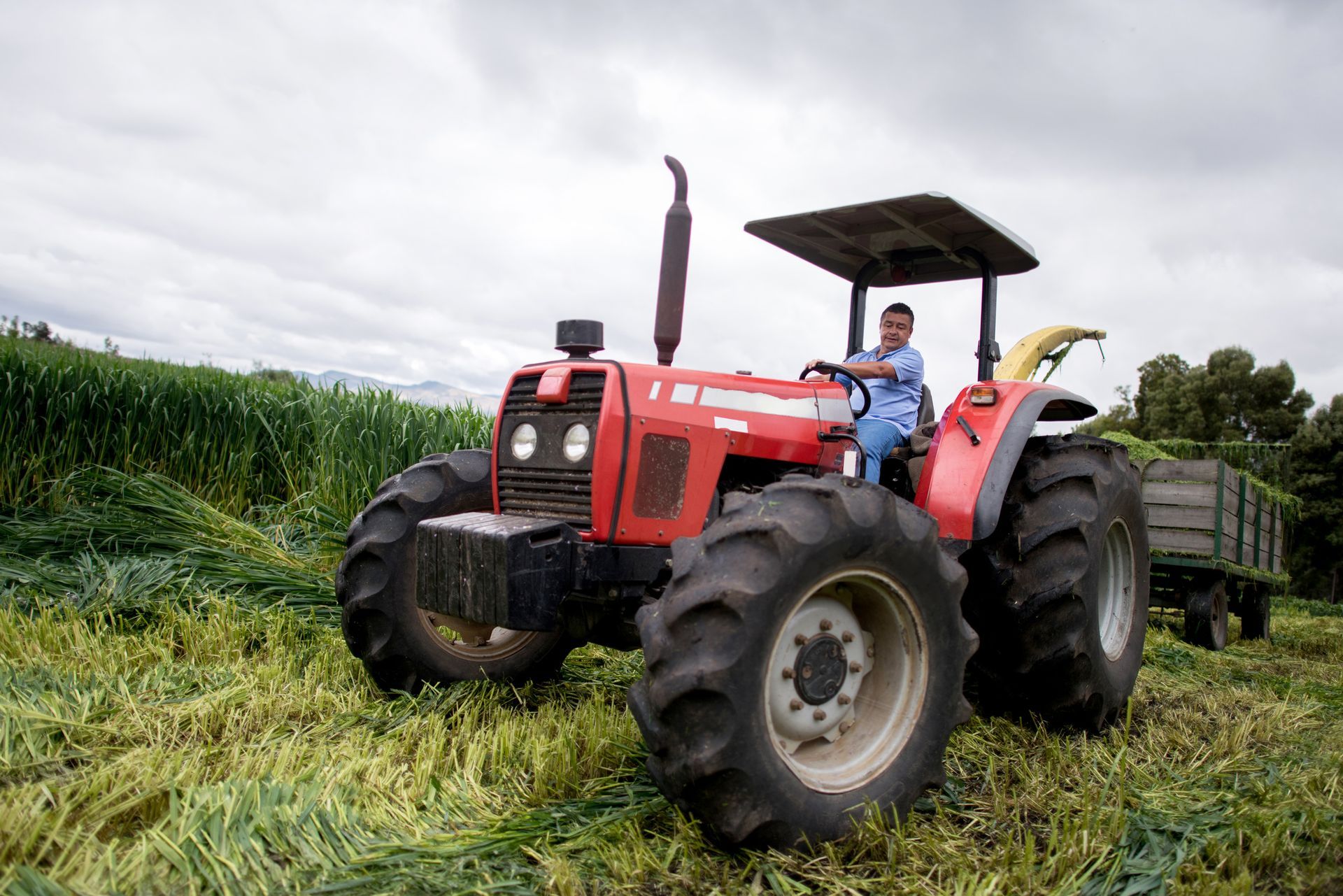 Tractor operator on farm using reliable agricultural equipment in optimal conditions. Tractor operator on farm using reliable agricultural equipment in optimal conditions.