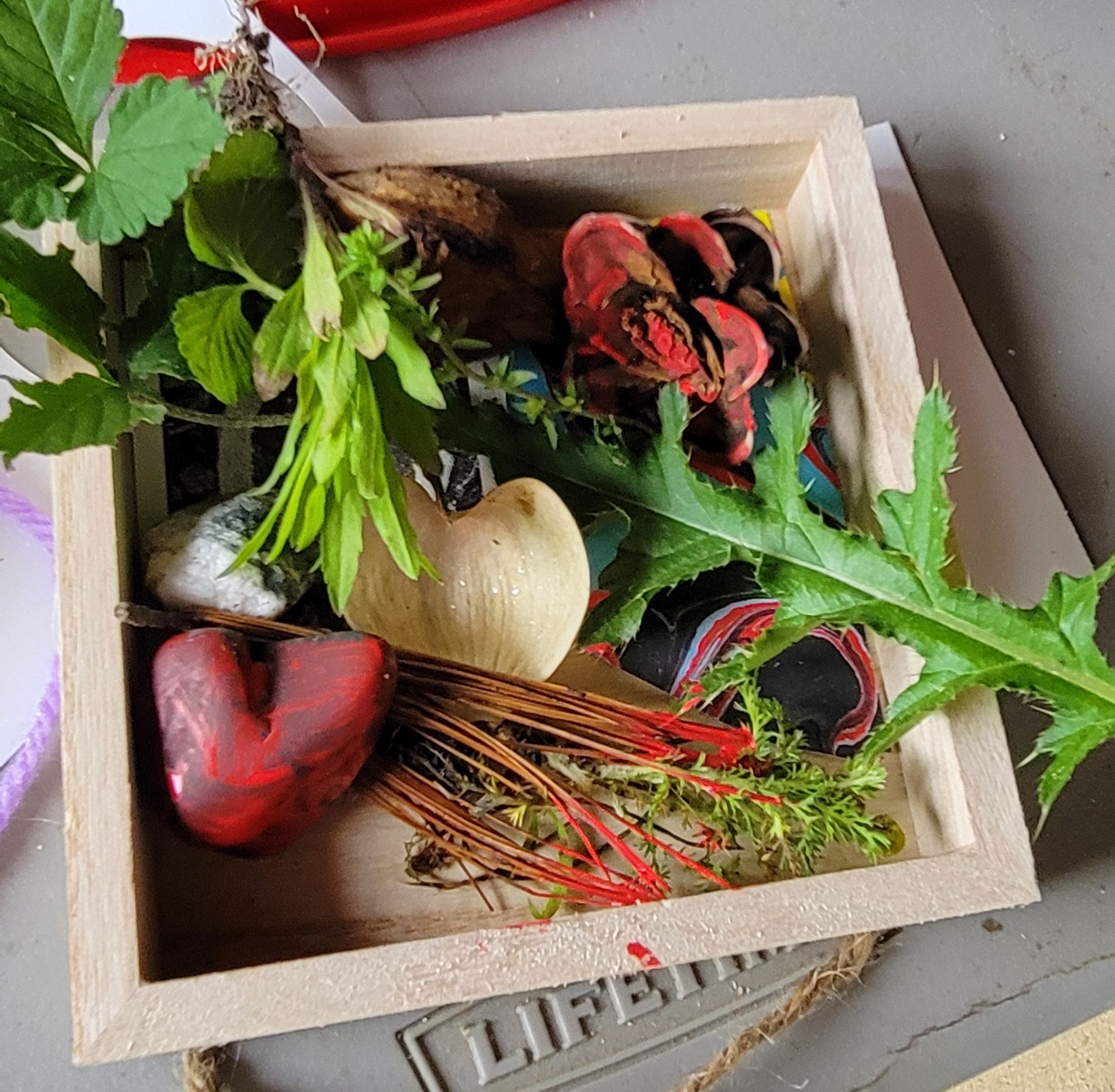 A wooden box filled with plants and a red heart