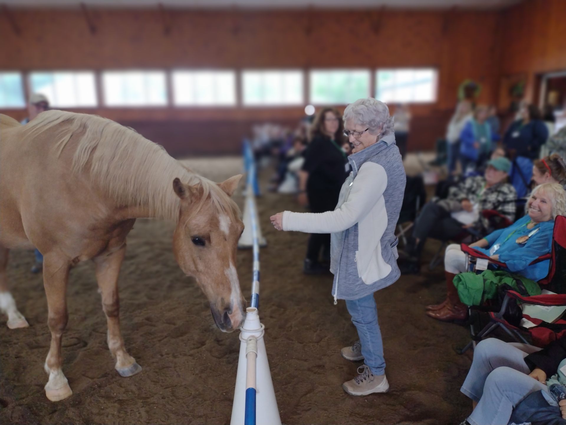A woman is feeding a horse while a group of people sit in chairs.