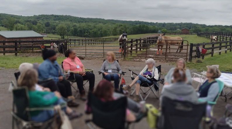 A group of people are sitting in a circle in front of a horse.