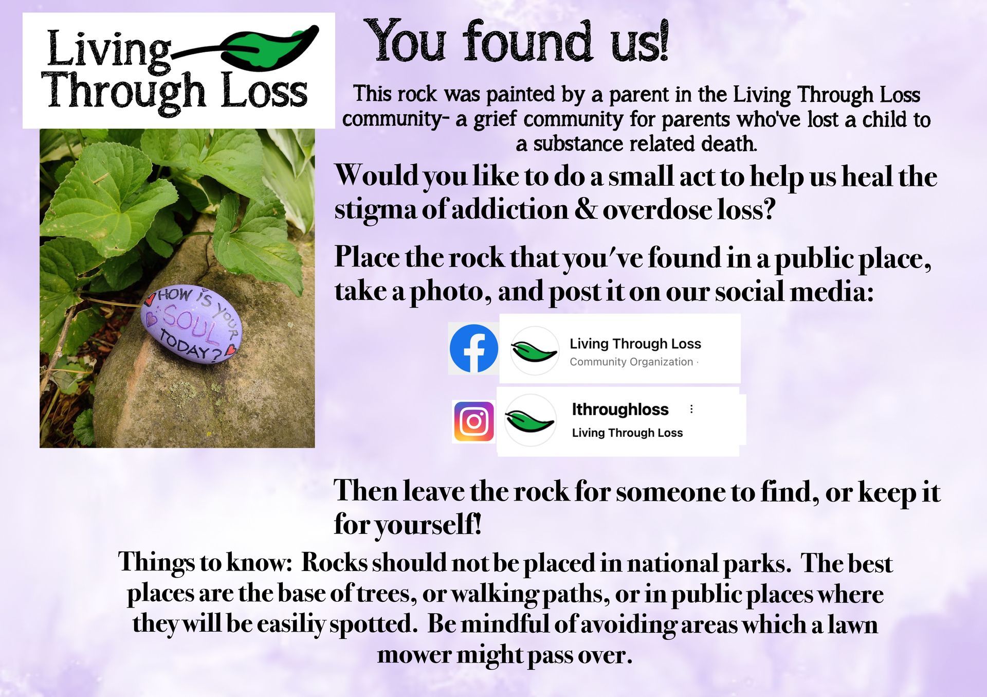 Information about the Painted LTL Rock