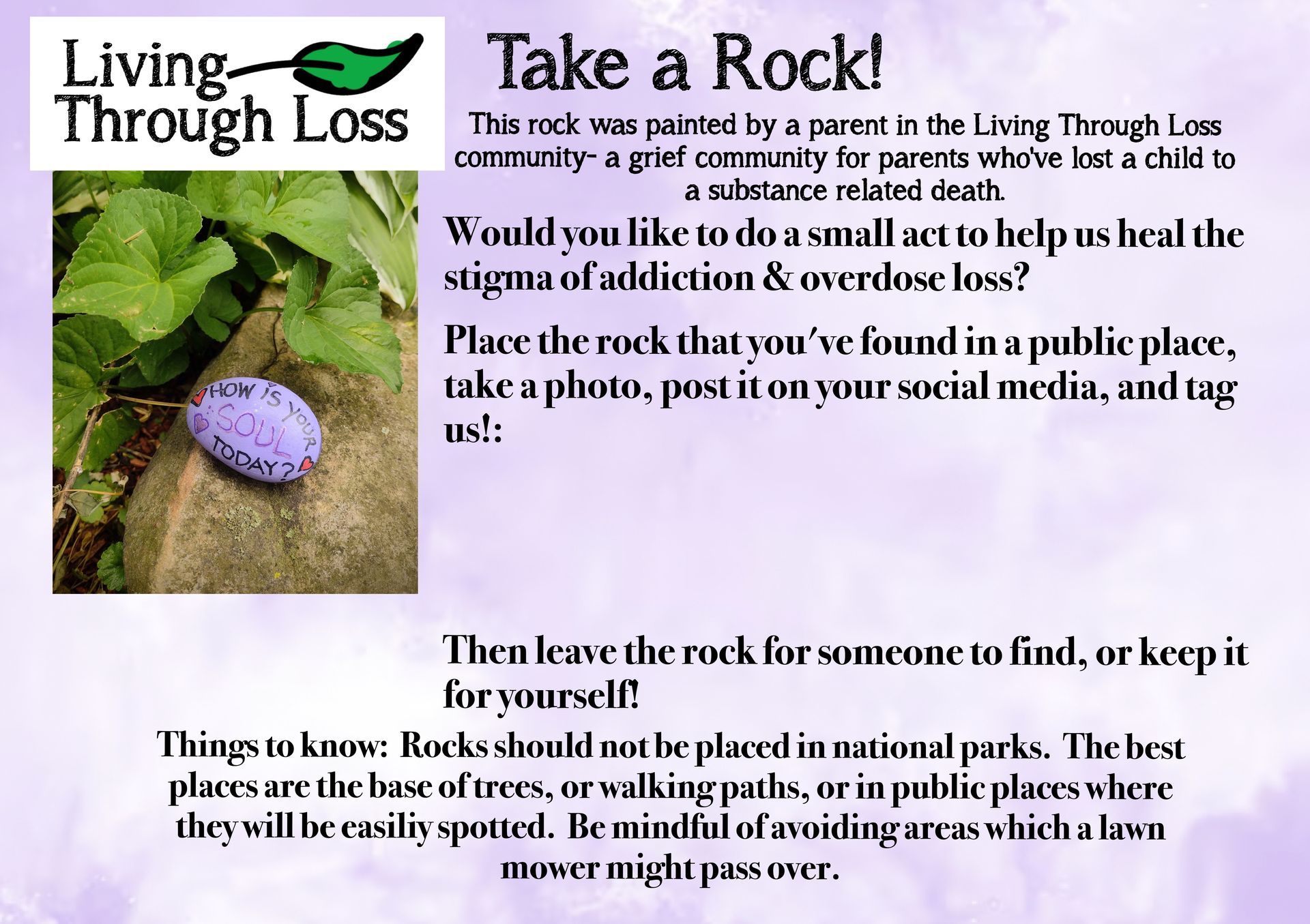 Information about the Painted LTL Rock