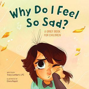 Why do i feel so sad : a grief book for children