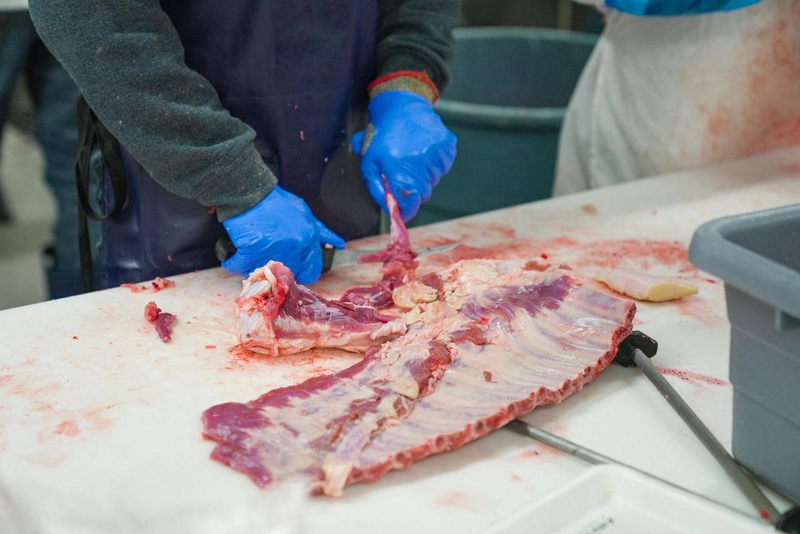 Person in blue gloves cutting meat on a white surface; butcher shop setting.