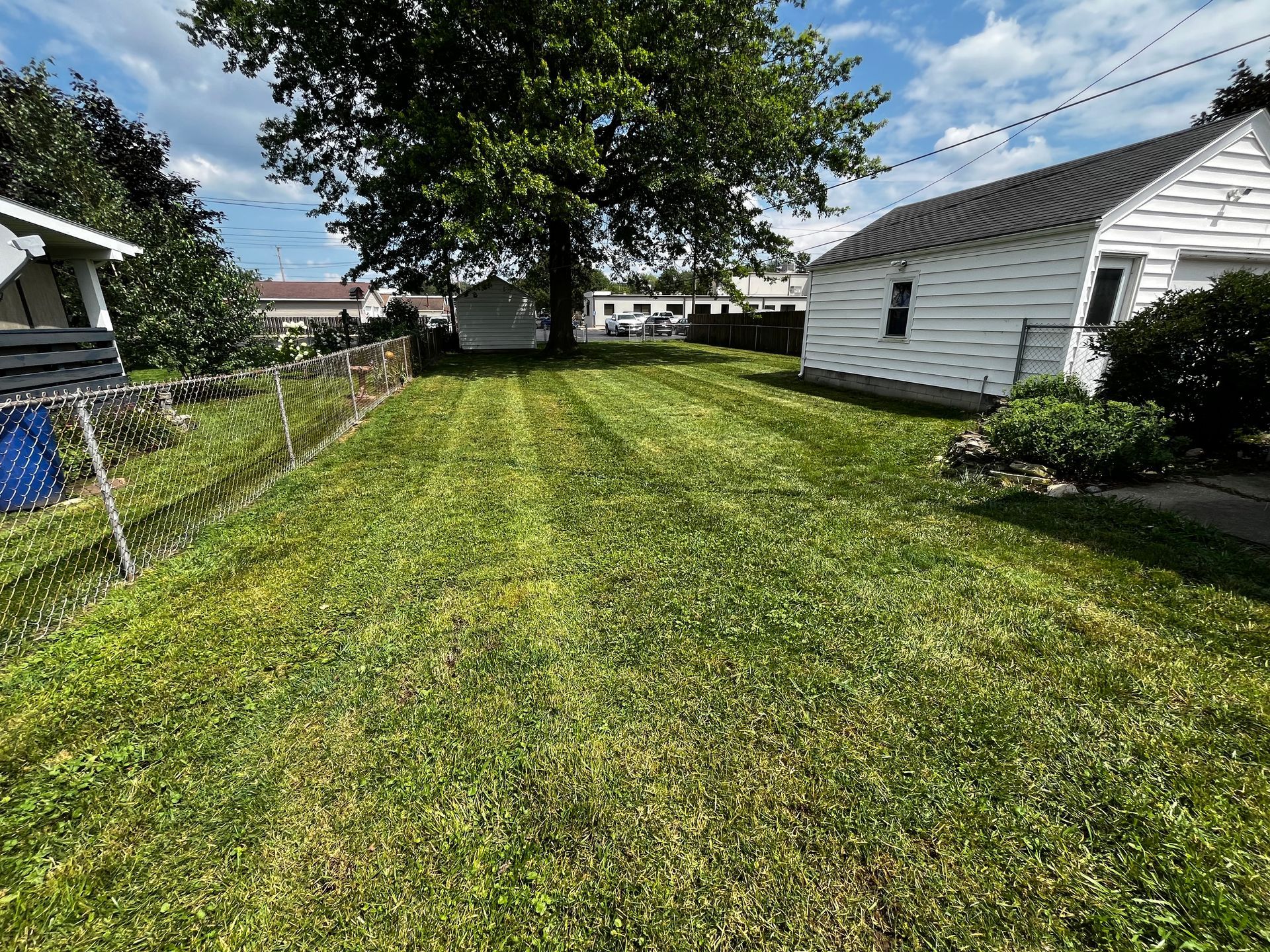 Backyard lawn with a green grassy path, trees, and white houses on either side.