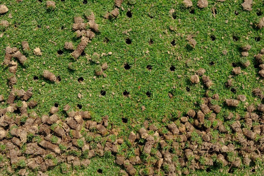 A close up of a field of grass with holes in it.