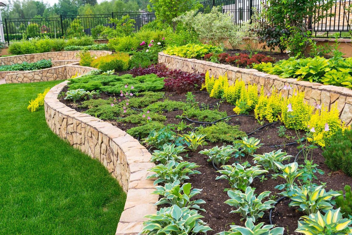 A garden filled with lots of plants and flowers and a stone wall.