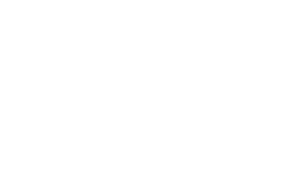 ALM & CEO Landscaping and Services LLC