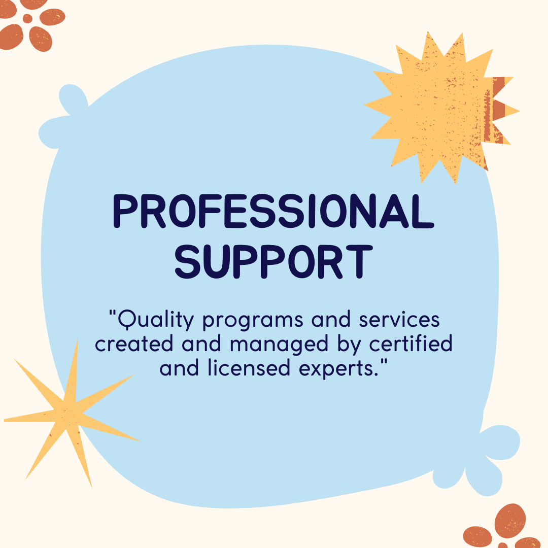 A blue circle with the words `` professional support '' on it.