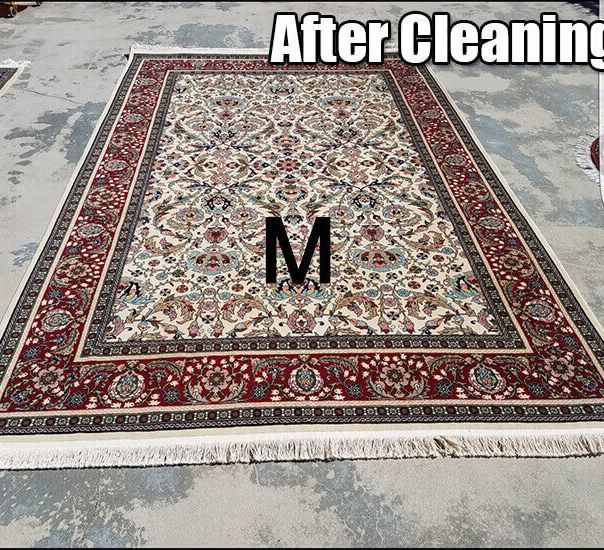A rug that has been cleaned with the letter m on it.