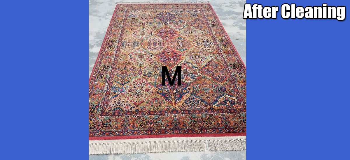 A rug that has been cleaned with the letter m on it