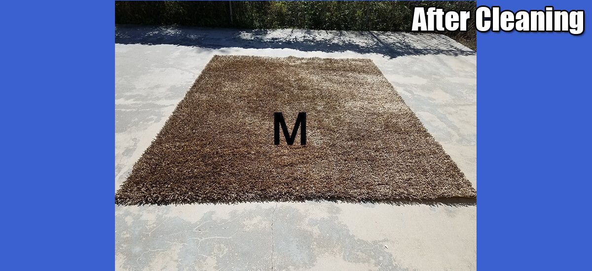 A rug with the letter m written on it