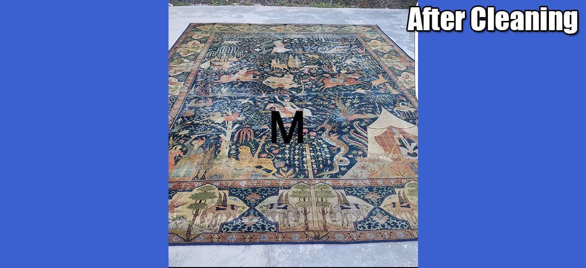 A rug that has been cleaned with the letter m on it.