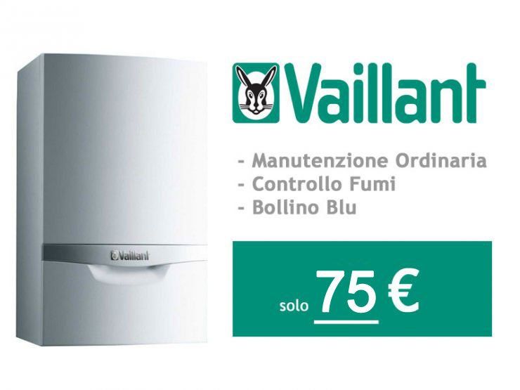 manutenzioni Vaillant