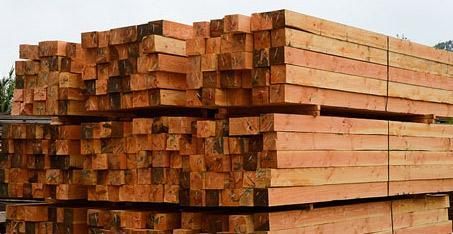 Sociedad Chile Maderas SPA