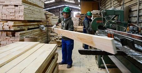 Sociedad Maderera de Chile SPA