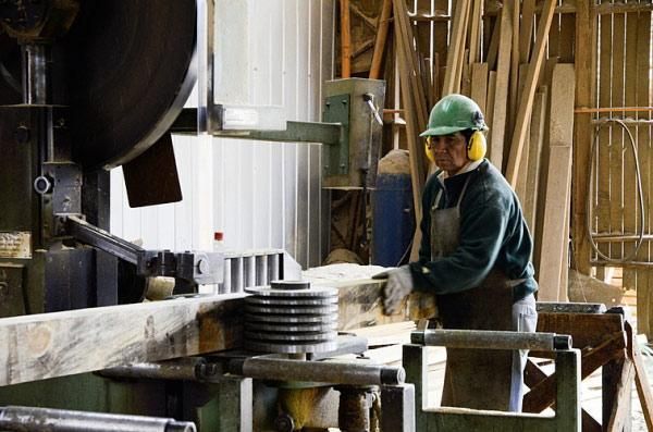 Sociedad Maderera de Chile SPA