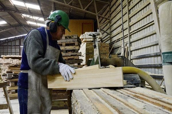 Sociedad Maderera de Chile SPA