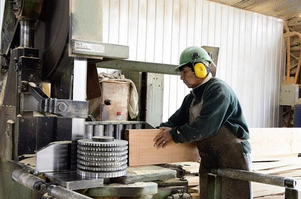 Sociedad Maderera de Chile SPA