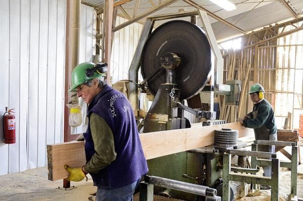 Sociedad Maderera de Chile SPA