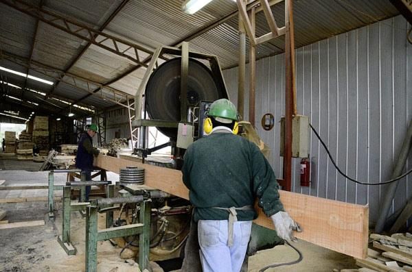 Sociedad Maderera de Chile SPA