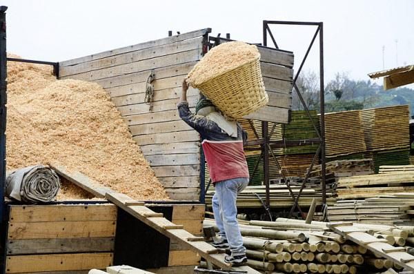 Sociedad Maderera de Chile SPA