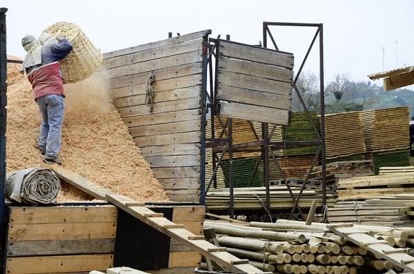 Sociedad Maderera de Chile SPA