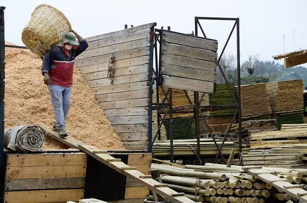 Sociedad Maderera de Chile SPA