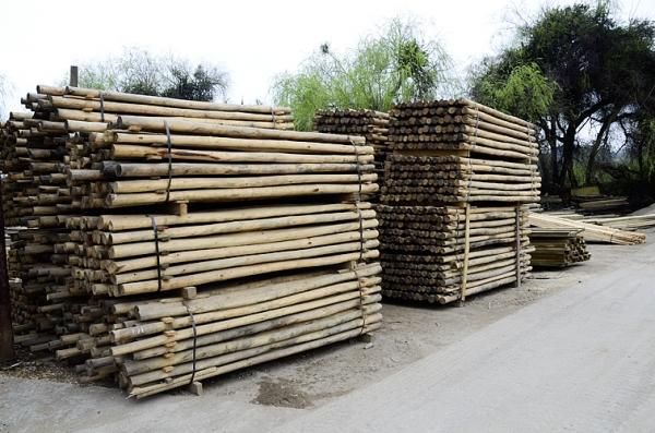 Sociedad Maderera de Chile SPA