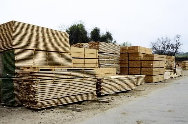 Sociedad Maderera de Chile SPA