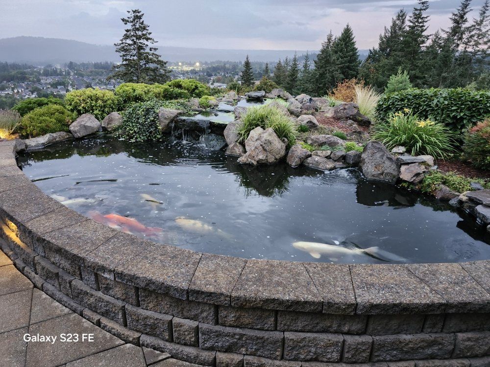 A large pond filled with fish and rocks in a garden