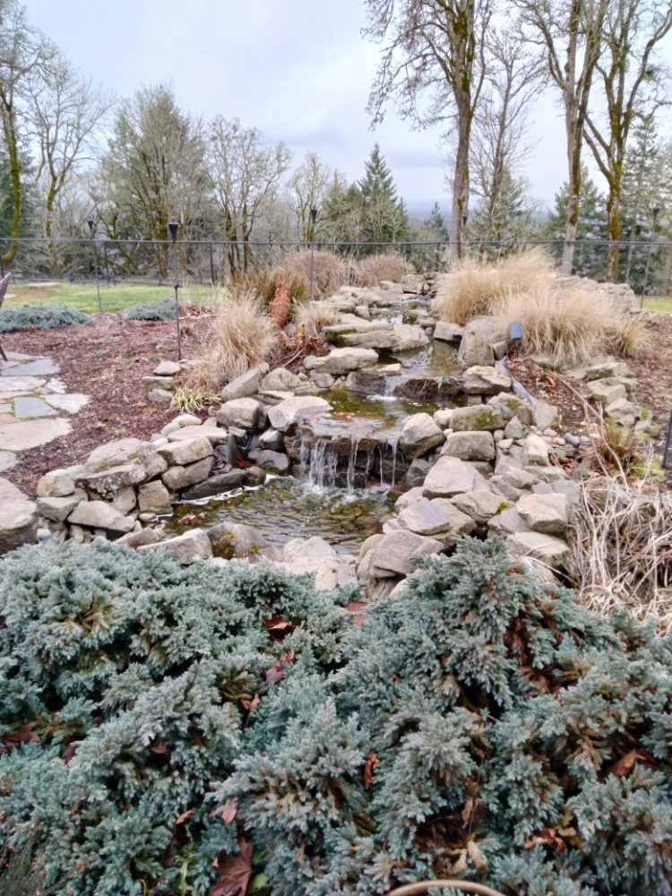 There is a small waterfall in the middle of the garden.