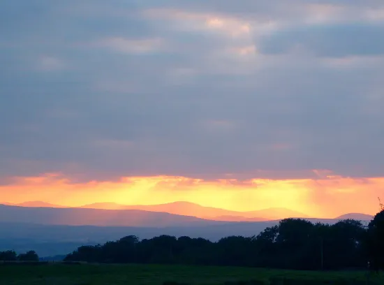 Black Dog House views