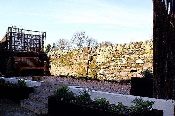 Black Dog House back garden