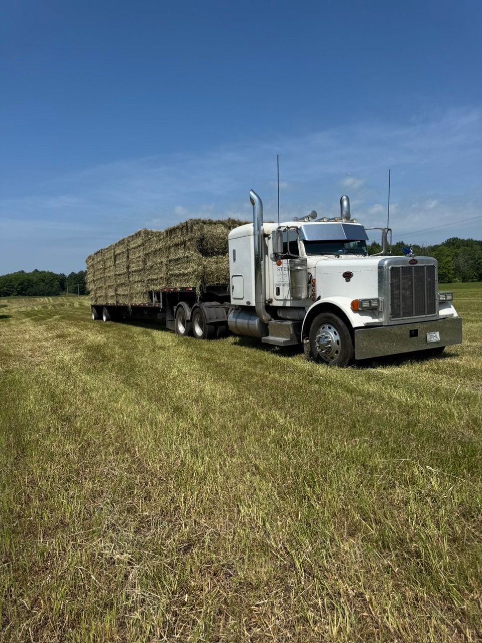White semi-truck hauling rectangular hay bales in a field. Overcast day.