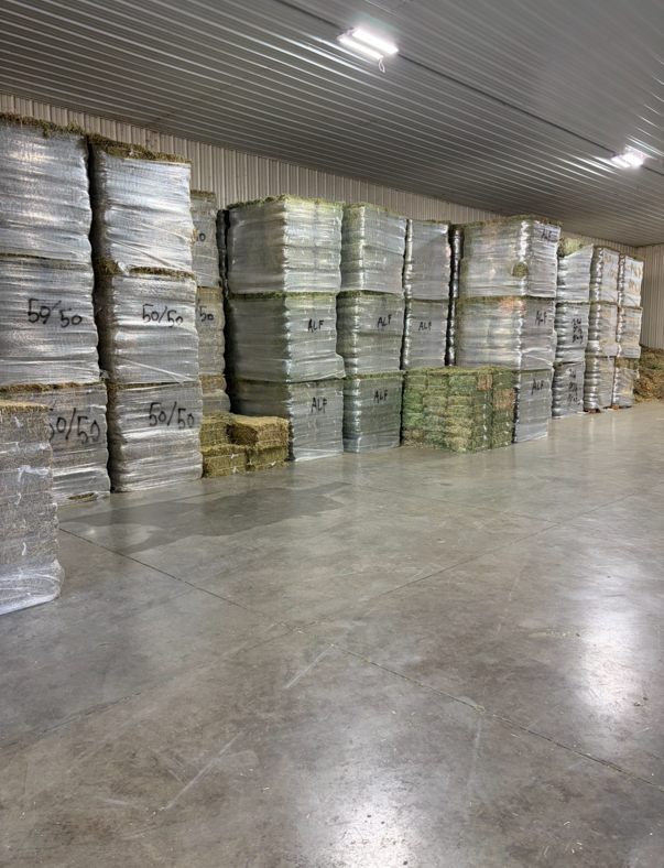 Stacks of wrapped hay bales in a large concrete warehouse, stacked to the ceiling.
