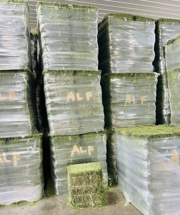 Hay bales, wrapped in plastic, stacked in a storage area.