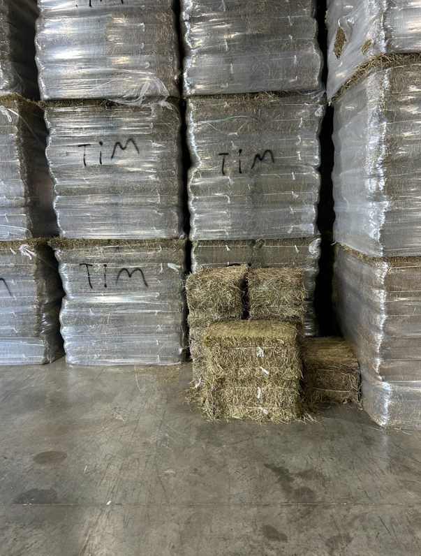 Hay bales stacked in a warehouse. Some bales are wrapped in plastic, others are not. “TIM” is written on some.