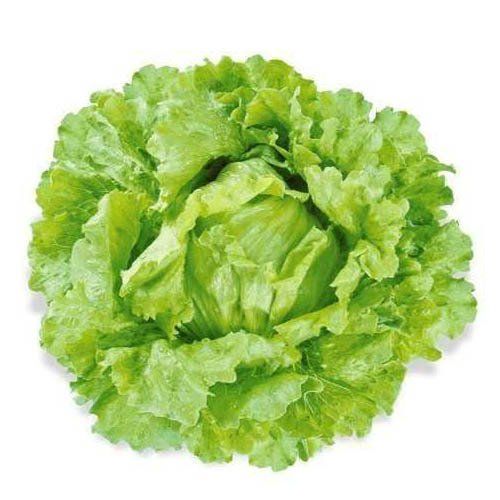 Alface Americana na Hortifruti´s Real