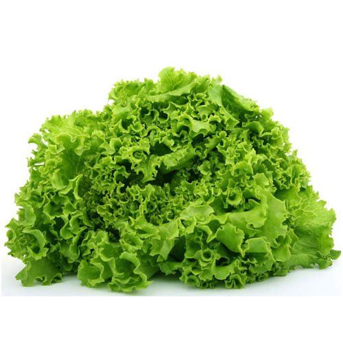 Alface Crespav na Hortifruti´s Real