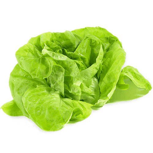 Alface Lisa na Hortifruti´s Real