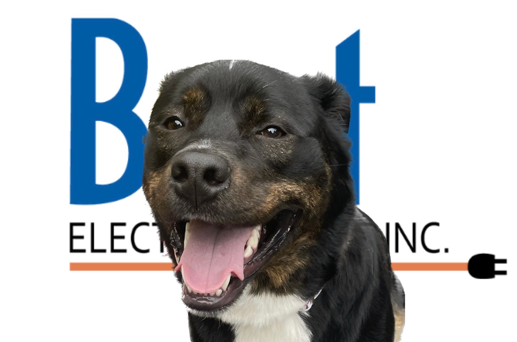 Perkins– Milwaukee, WI - Best Electric Service