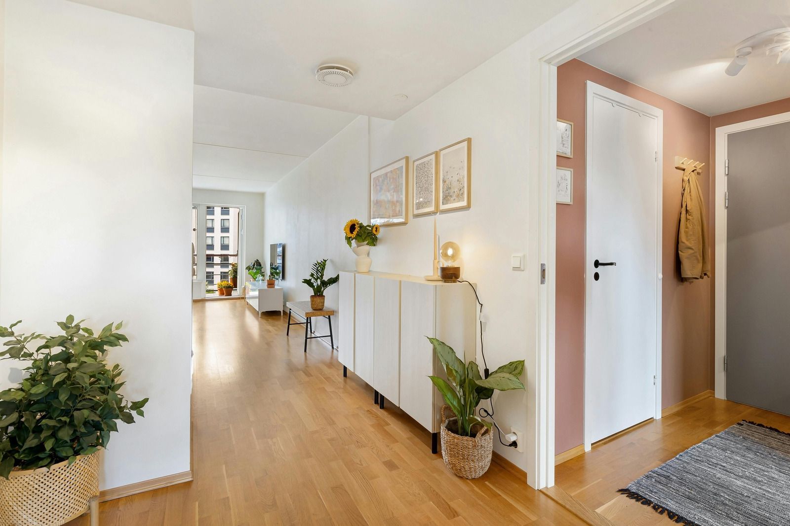 Bright hallway with wood floors, white walls, potted plants, and a console table leading to a doorway.