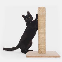 black cat with scratching post